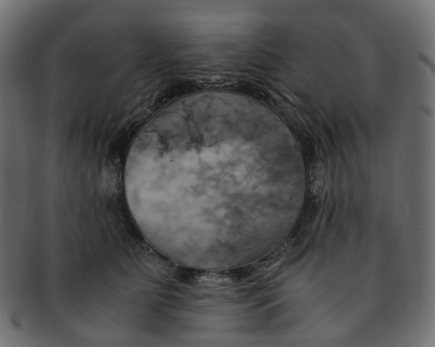 X0000091540515200709071107