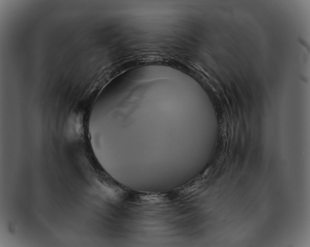 X0000091540516200709071107