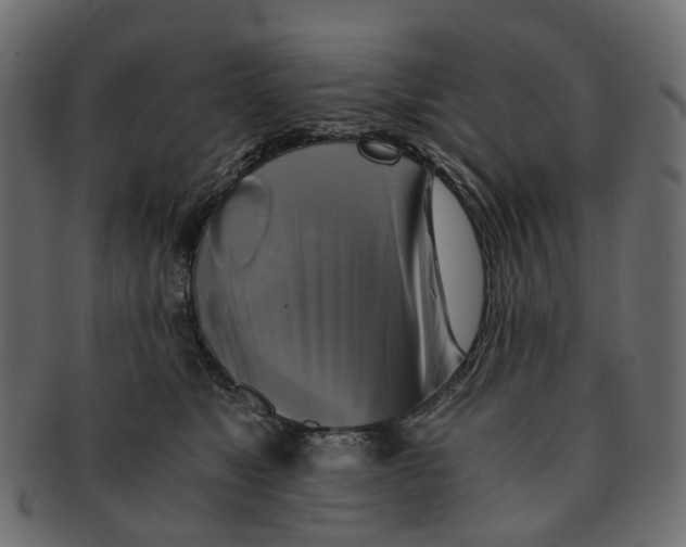 X0000091540517200709071107