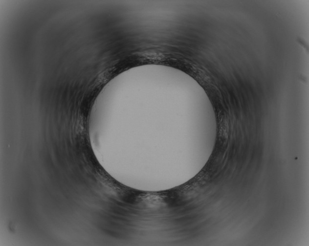 X0000091540518200709071107