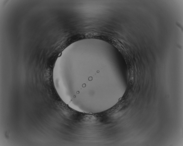 X0000091540519200709071107