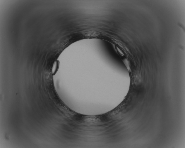 X0000091540521200709071107