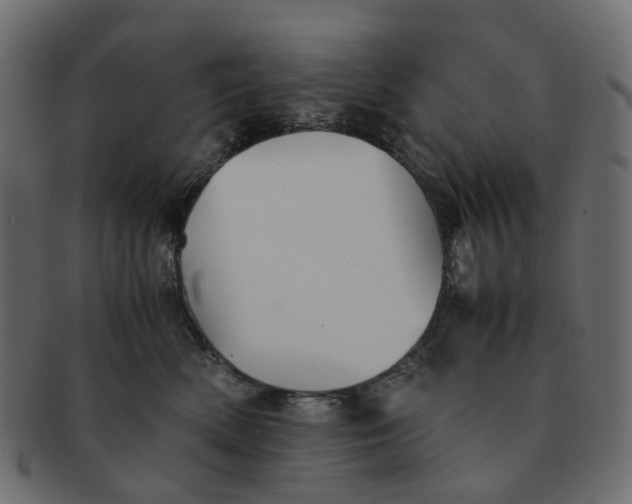 X0000091540522200709071107