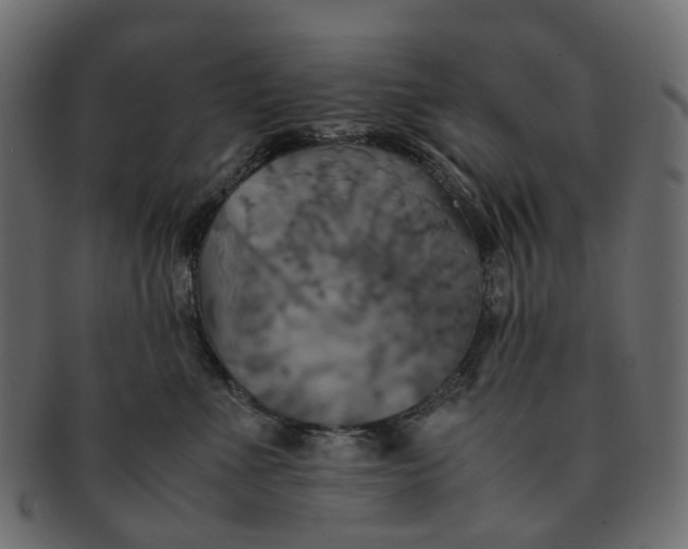 X0000091540523200709071107