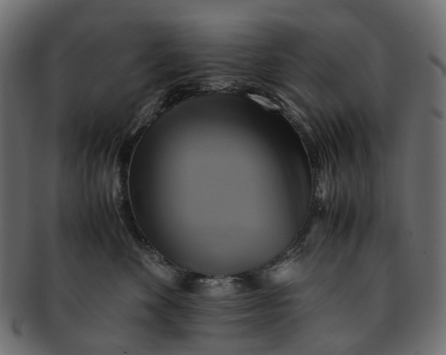 X0000091540524200709071107