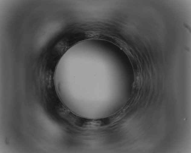 X0000091540525200709071107