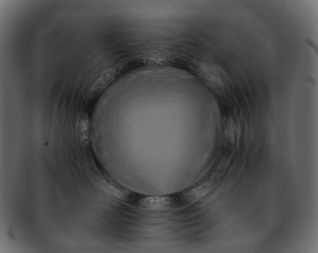 X0000091540526200709071107