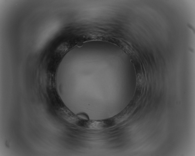 X0000091540527200709071107