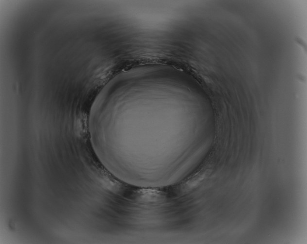 X0000091540528200709071107