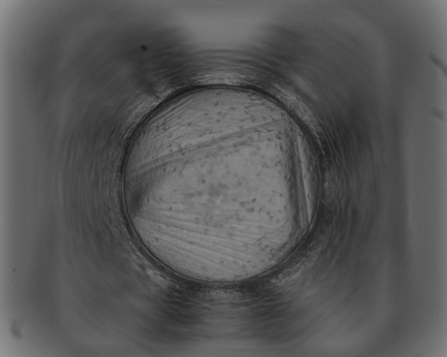 X0000091540529200709071106