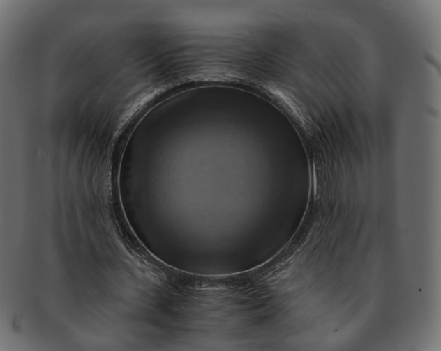 X0000091540531200709071106