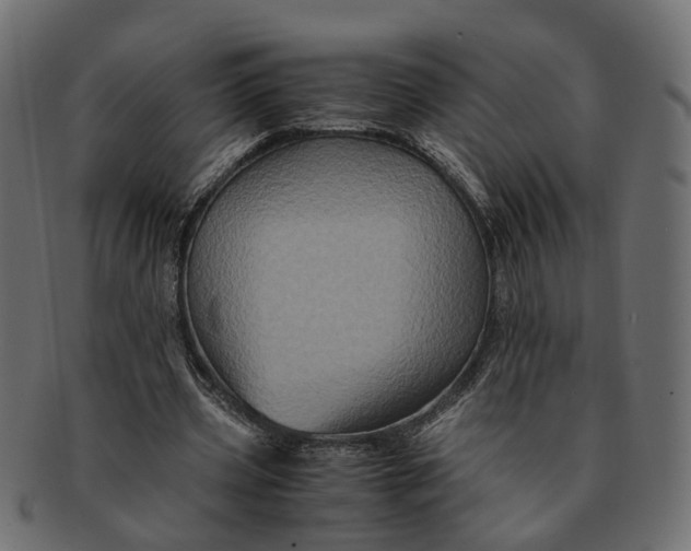 X0000091540533200709071106