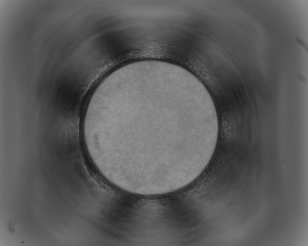 X0000091540534200709071106