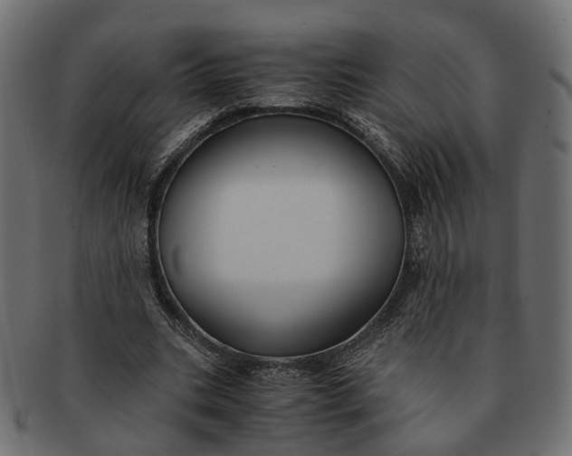 X0000091540535200709071106