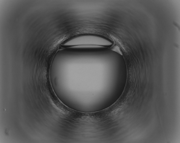 X0000091540538200709071106