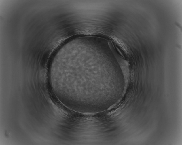 X0000091540540200709071106