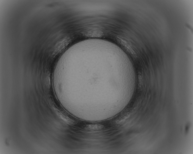 X0000091540541200709071106