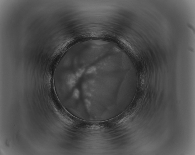 X0000091540542200709071106