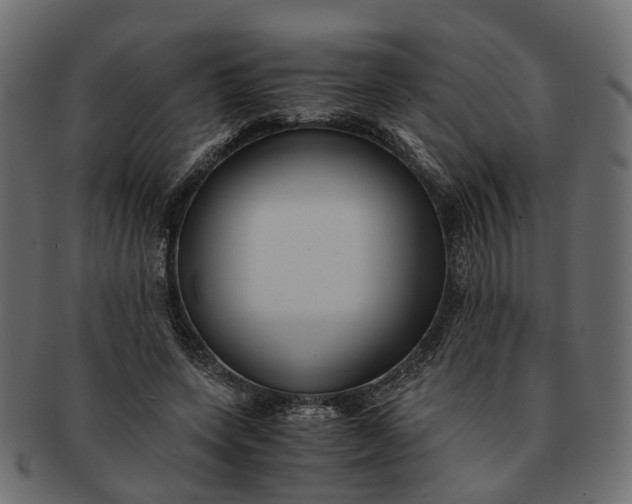 X0000091540543200709071106