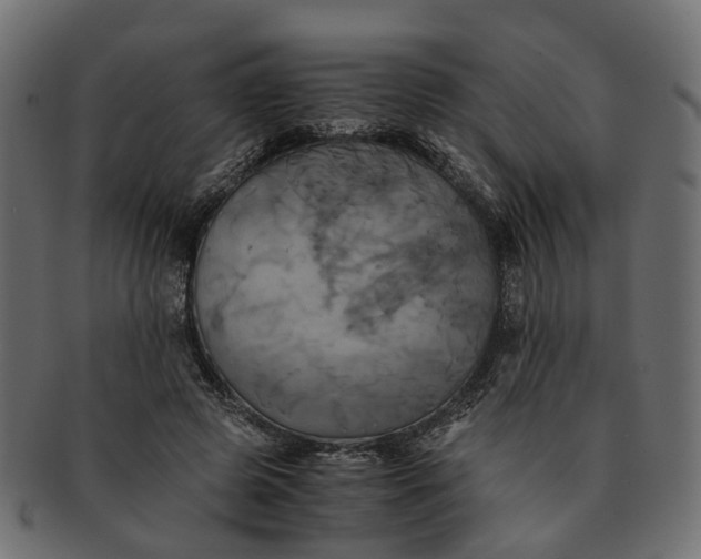 X0000091540545200709071106