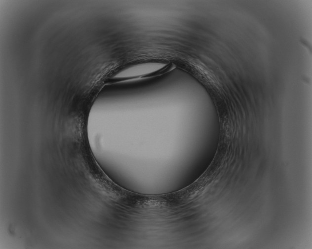 X0000091540546200709071106