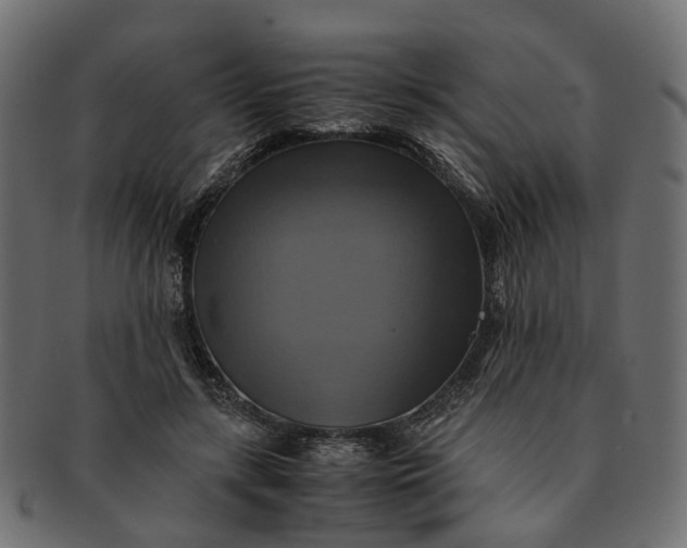 X0000091540547200709071106