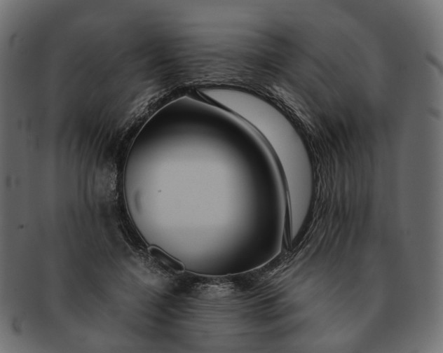 X0000091540548200709071106