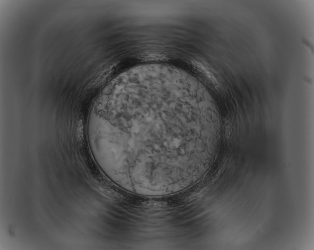 X0000091540549200709071106