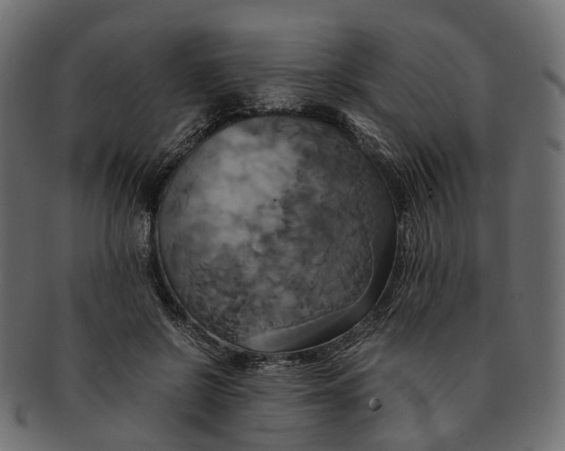 X0000091540550200709071106