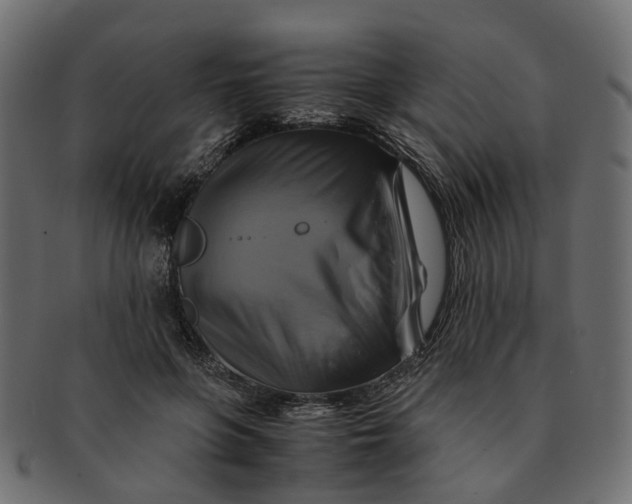 X0000091540551200709071106