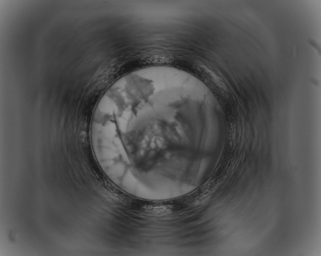 X0000091540553200709071106