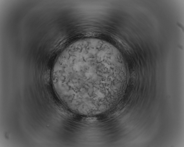 X0000091540554200709071106