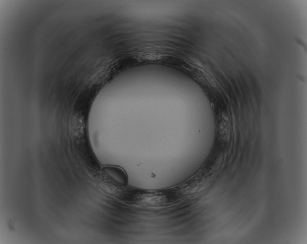 X0000091540555200709071106