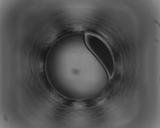 X0000091540556200709071106