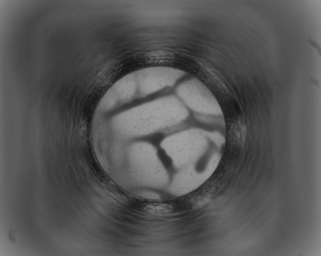 X0000091540557200709071106