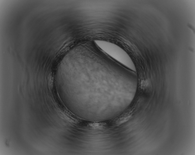 X0000091540558200709071106