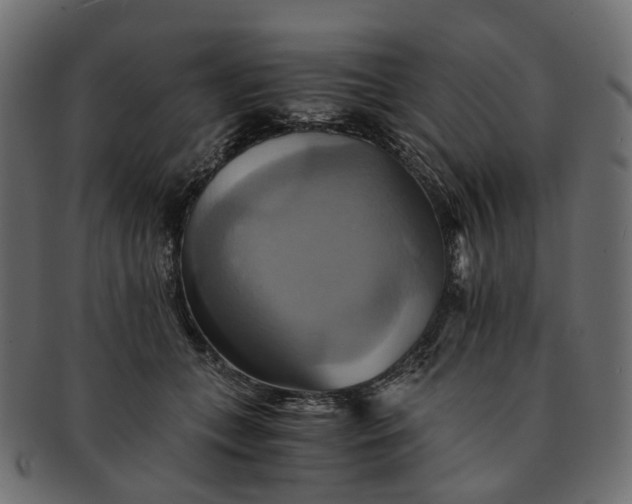 X0000091540559200709071106