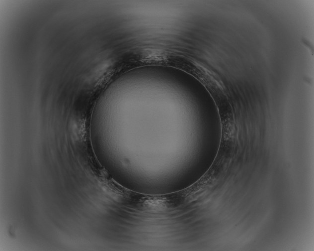 X0000091540560200709071106