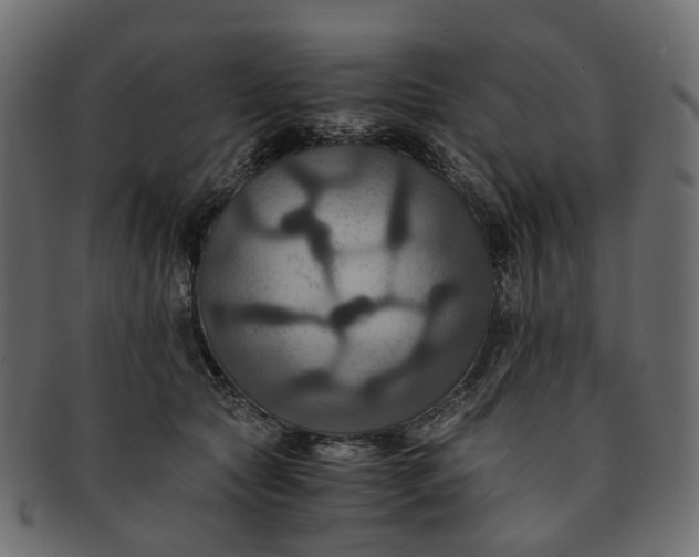 X0000091540561200709071107