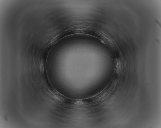 X0000091540562200709071107