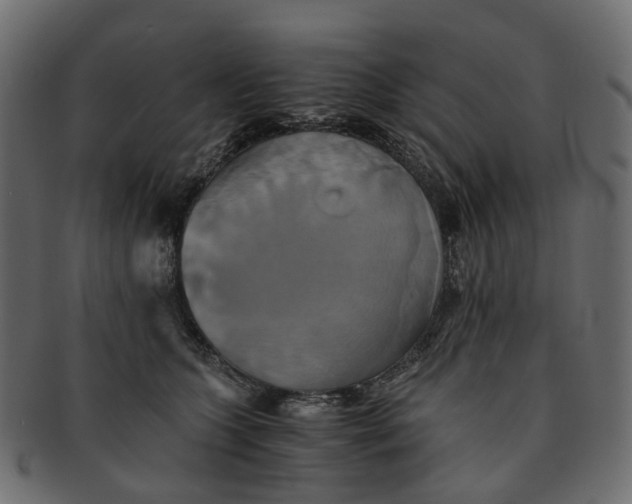 X0000091540563200709071107