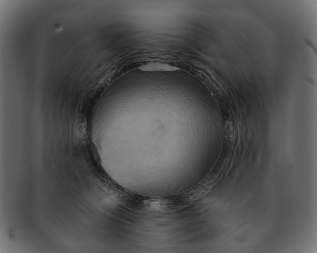 X0000091540564200709071107