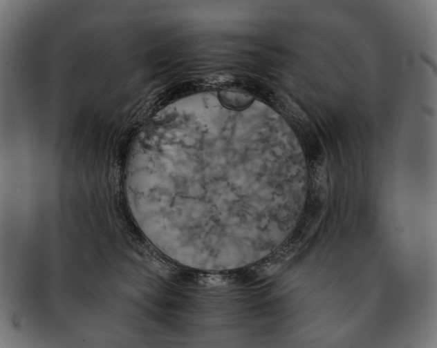 X0000091540565200709071107