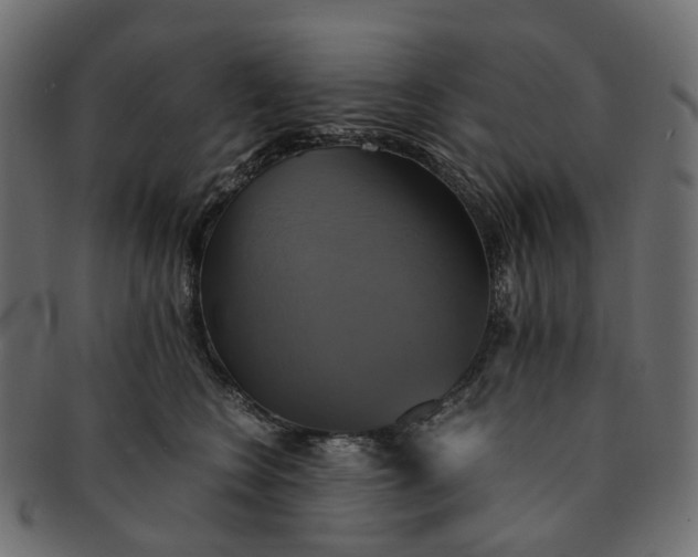 X0000091540566200709071107