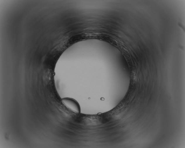 X0000091540567200709071107