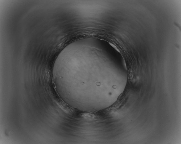 X0000091540568200709071107