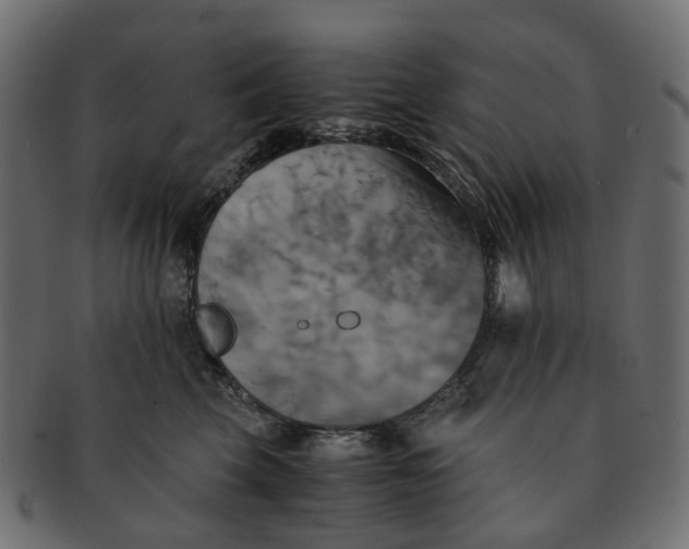 X0000091540569200709071107