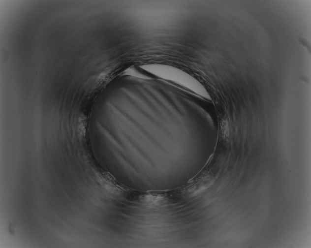 X0000091540570200709071107