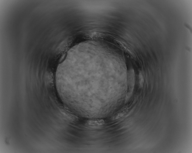 X0000091540571200709071107