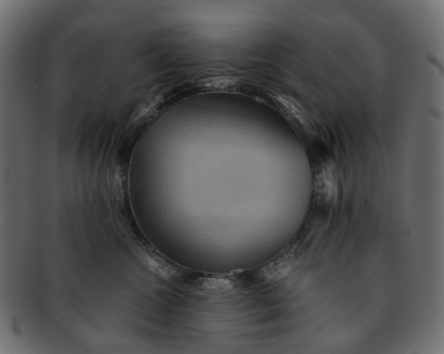 X0000091540572200709071107